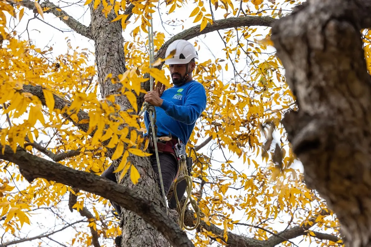 Skilled Storm Damage Cleanup crew working in Byron